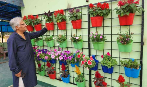 balcony garden plants India